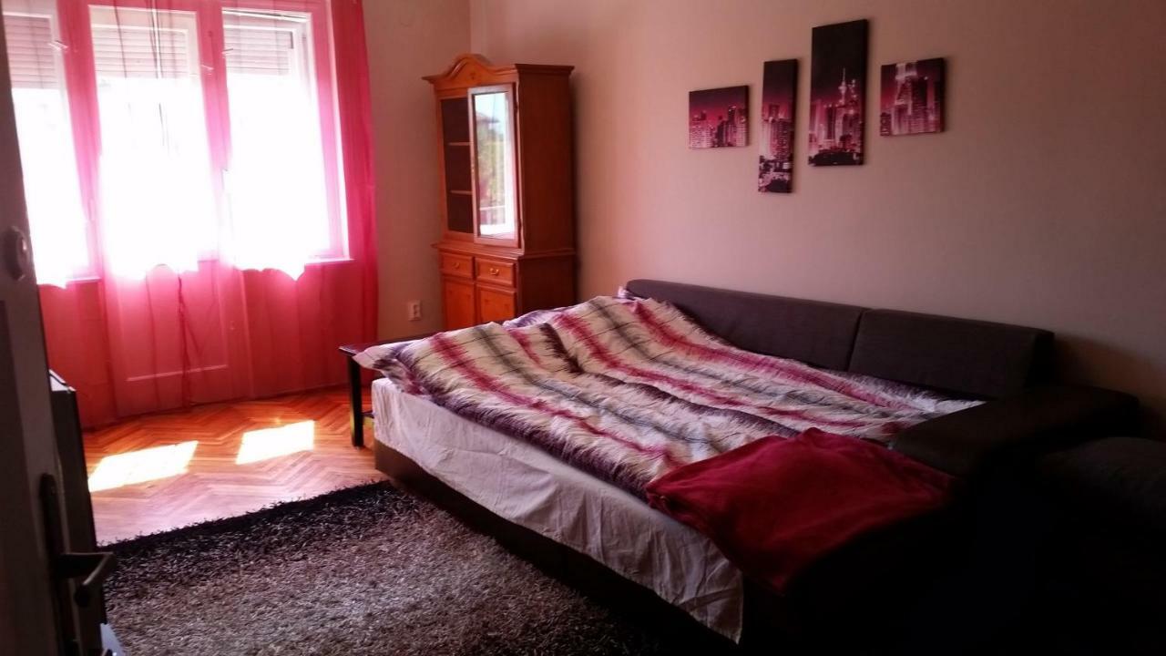 Tisza-Parti Napfeny Apartman سيغيد المظهر الخارجي الصورة