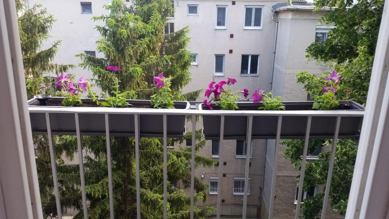Tisza-Parti Napfeny Apartman سيغيد المظهر الخارجي الصورة