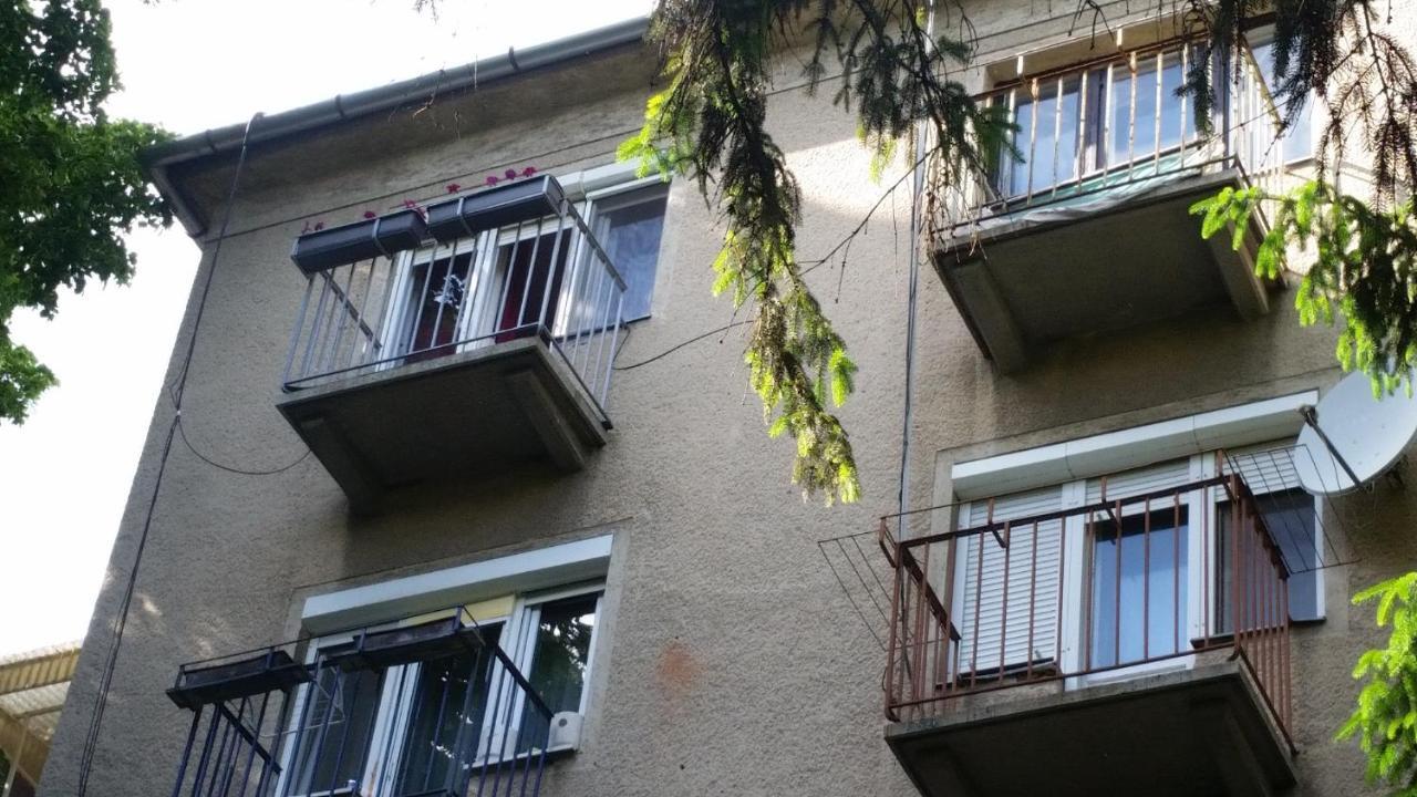 Tisza-Parti Napfeny Apartman سيغيد المظهر الخارجي الصورة