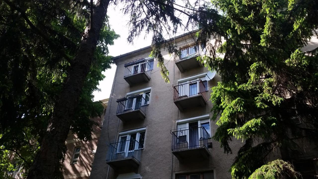 Tisza-Parti Napfeny Apartman سيغيد المظهر الخارجي الصورة